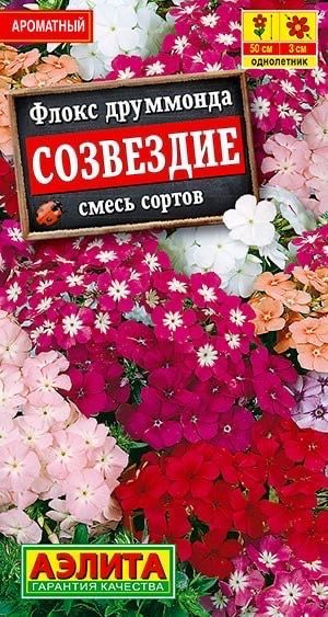Флоксы однолетние Аэлита Цветы Мир семян_1 - купить по выгодным ценам в ...