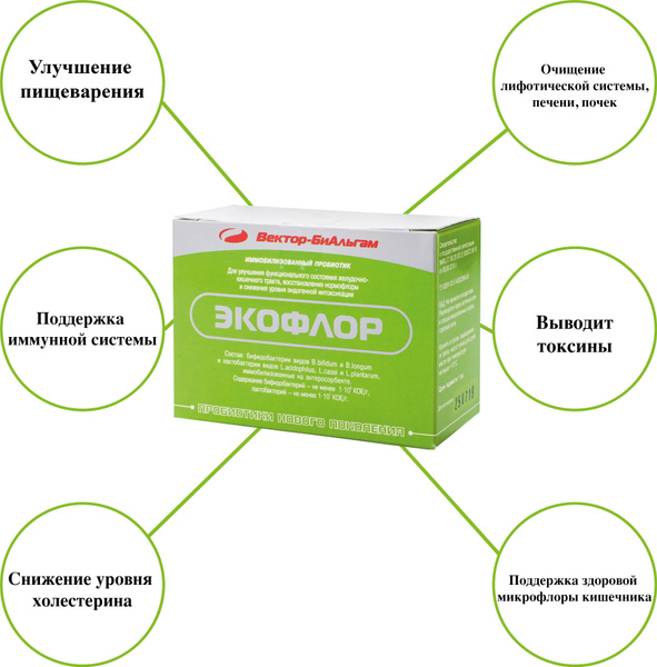 Сорбент актив