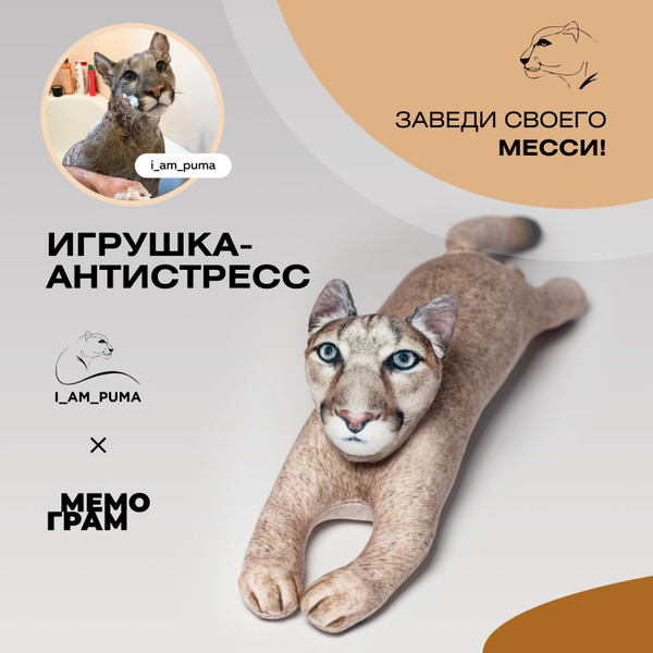 Мягкая игрушка антистресс с шариками для детей и взрослых, котик пума ...