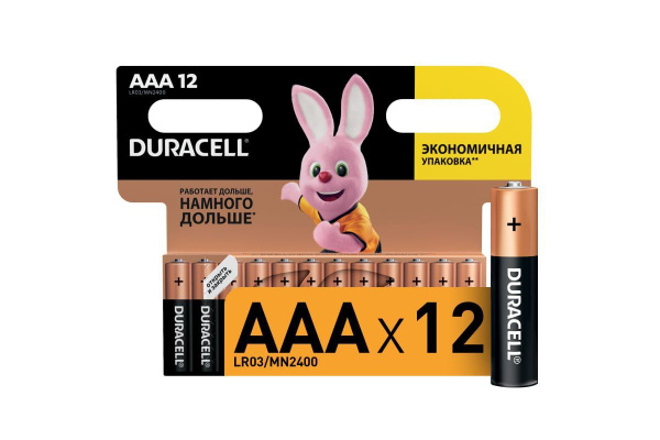 Батарейки щелочные (алкалиновые) Duracell Basic ААA, 1,5В, 12шт ...