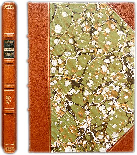 Важнейшие медоносные растения и способы их разведения. 1907 / Глухов М ...