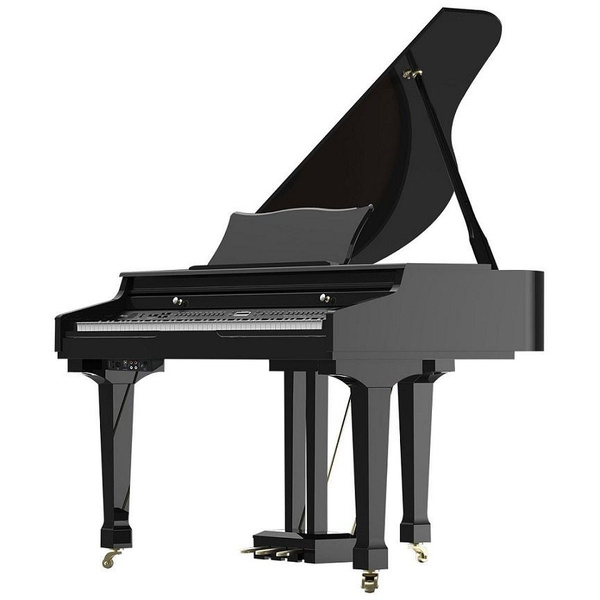 Рояль цифровой Ringway GDP6320 Polish Black - купить с доставкой по ...