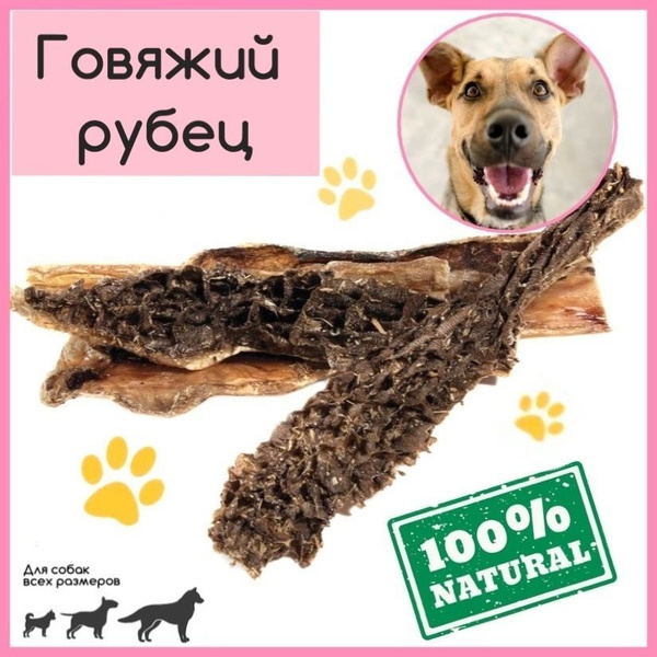 Рубец говяжий / Лакомства для собак мелких пород для дрессировки ...