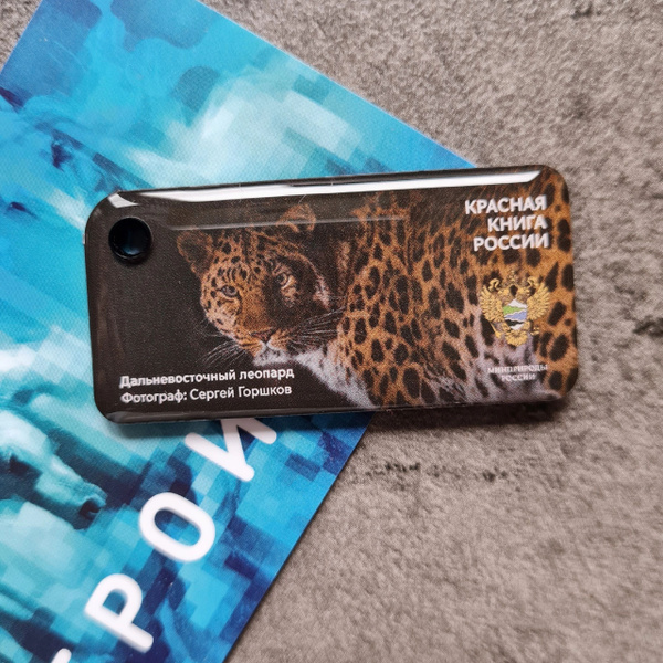 Брелок коллекционный с функционалом карты Тройка - Дальневосточный ...