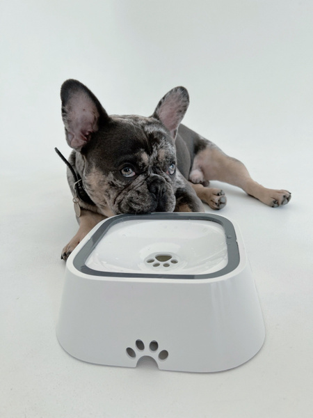 Миска-поилка интерактивная непроливайка для собак и кошек с защитой от ...