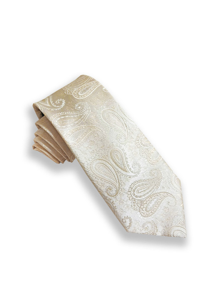 roberto gabbani tie price