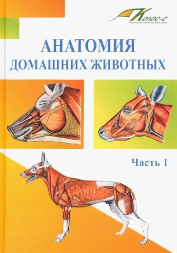 Анатомия домашних животных. Учебник. Часть 1 - купить с доставкой по ...
