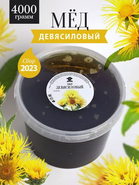 Мед девясиловый 4000 г, темный, мед с пасеки, качественный мед - купить ...
