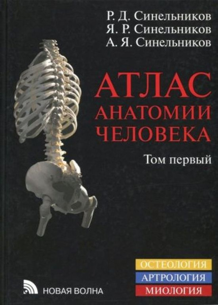 Атлас анатомии человека. Том 1. - купить с доставкой по выгодным ценам ...