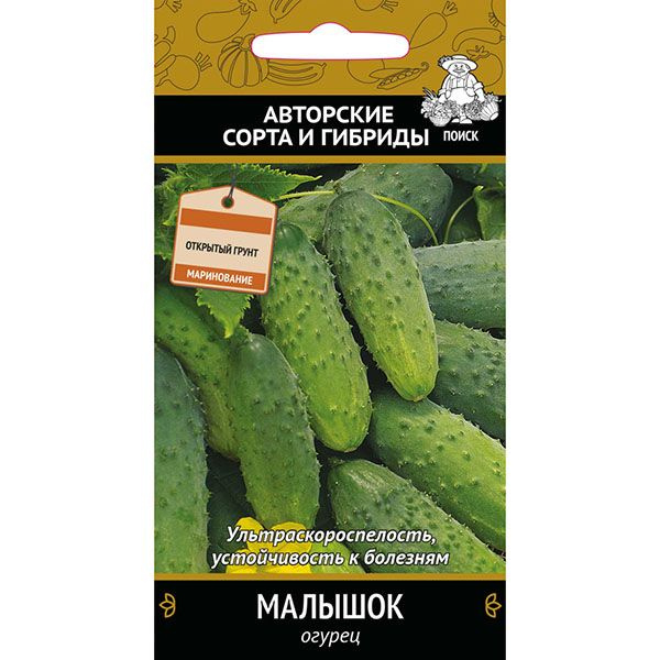 Огурец малышок фото
