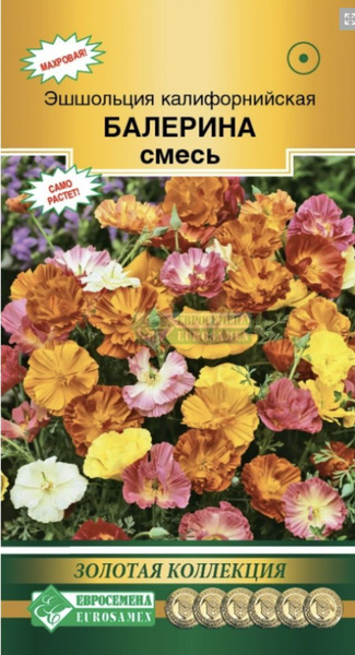 Эшшольции Евросемена Однолетники_1_Эшшольция калифорнийская Балерина ...