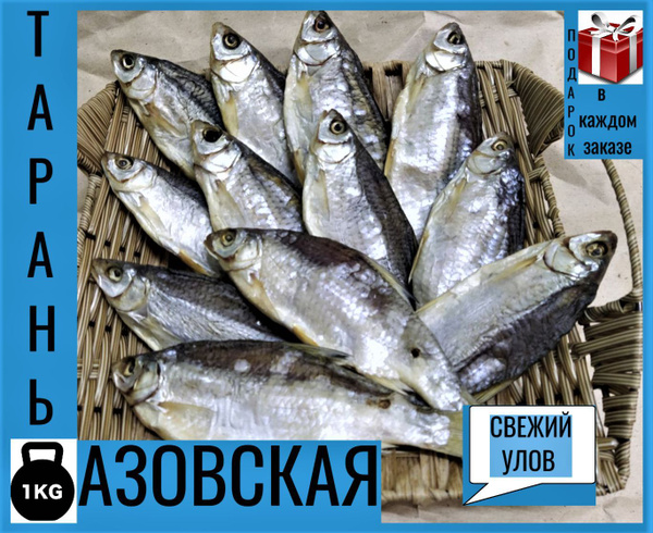 Тарань вяленая, сушеная 1 кг/Рыба вяленая/Сушеная рыба - купить с ...