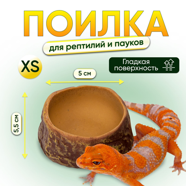 Кормушка-поилка для мелких видов рептилий и насекомых CUTE REPTILE ...