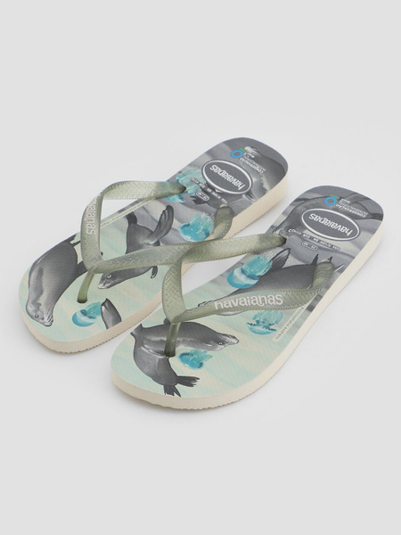 Сланцы Havaianas - купить с доставкой по выгодным ценам в интернет ...