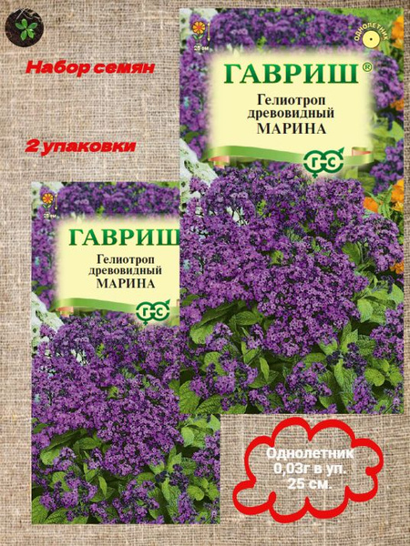 Гелиотроп Гавриш Цветы от - купить по выгодным ценам в интернет ...
