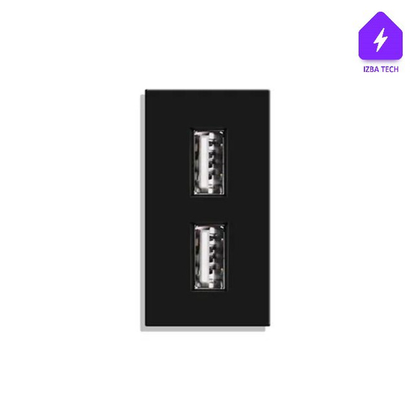 USB панель настенная, модуль порта USB для рамки черного цвета, розетка ...