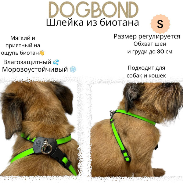 Шлейка Dogbond "Dogs Life" влагозащитная из биотана для собак малых ...