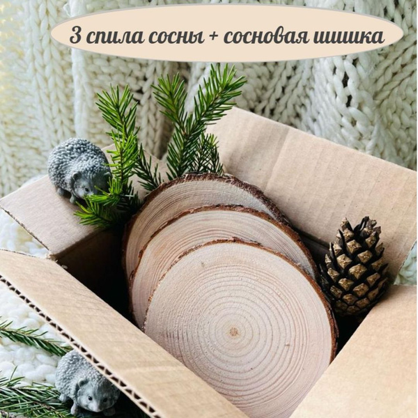 Спил дерева сосны 3 штуки диаметр 10-13 см - купить с доставкой по ...