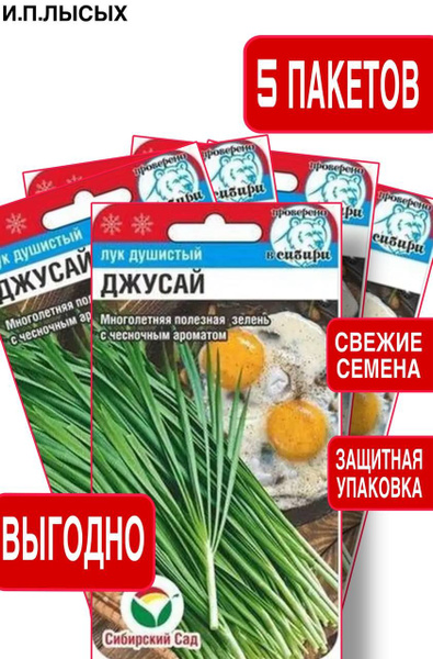 Лук Сибирский сад Лук душистый Джусай_5 - купить по выгодным ценам в ...