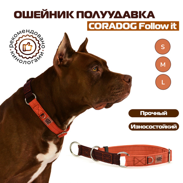 Ошейник-полуудавка, мартингейл, CORADOG Follow it, для маленьких и ...