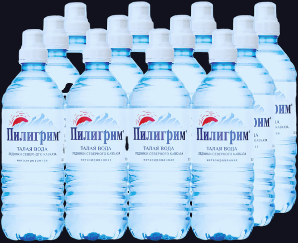 Вода ПИЛИГРИМ 0,5 л НЕГАЗ х 12 минеральная природная столовая питьевая ...