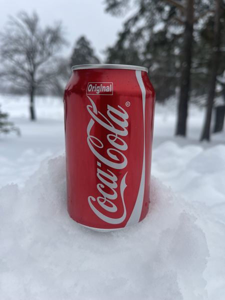 Напиток сильногазированный Соса-Cola Original 0,33л, 24шт. - купить с ...