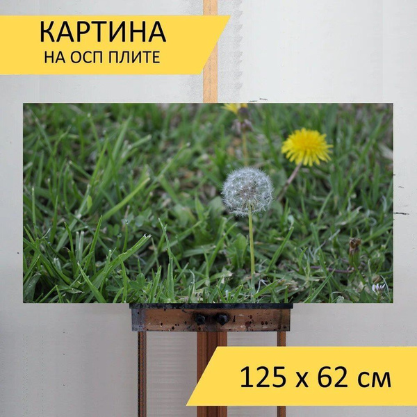 Картина цветов "Одуванчик, семена одуванчика, трава" на ОСП 125х62 см ...
