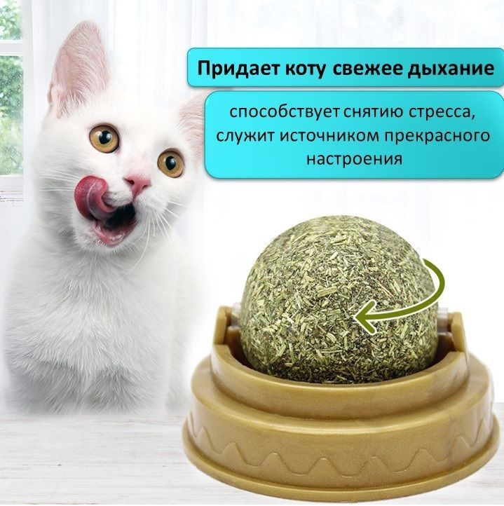 Кошачья мята / Шарик с кошачьей мятой на стену / Конфета с мятой для ...