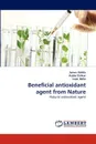 Beneficial antioxidant agent from Nature - James Habila, Asabe Dzikwi, Isaac Bello