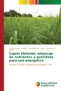 Capim Elefante. absorcao de nutrientes e qualidade para uso energetico - Santos Renato Lemos, Freire Fernando José, Rocha Alexandre T