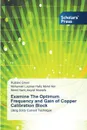 Examine the Optimum Frequency and Gain of Copper Calibration Block - Ghoni Ruzlaini, Mohd Nor Mohamad Luqman Hafiz, Mustafa Mohd Haziq Asyraf