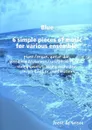 Blue 6 simple pieces of music for various ensemble. piano/organ, guitar duo, wood wind/clarinet/saxophone/brass/string quartet, string orchestra, concert band or combinations - Joost de Groot