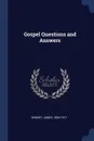 Gospel Questions and Answers - Denney James 1856-1917