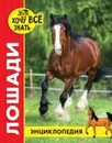 Лошади. Энциклопедия - Леся Калугина