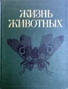 Жизнь животных. В 7 томах. Том 3. Членистоногие: трилобиты, хелицеровые, трахейнодышащие. Онихофоры - Гиляров М.С., Правдин Ф.Н. (ред.).