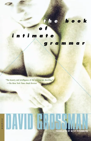 Обложка книги The Book of Intimate Grammar, Grossman David