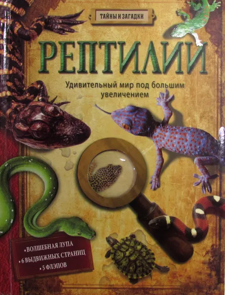 Обложка книги Рептилии. Удивительный мир под большим увеличением, Барбара Тэйлор