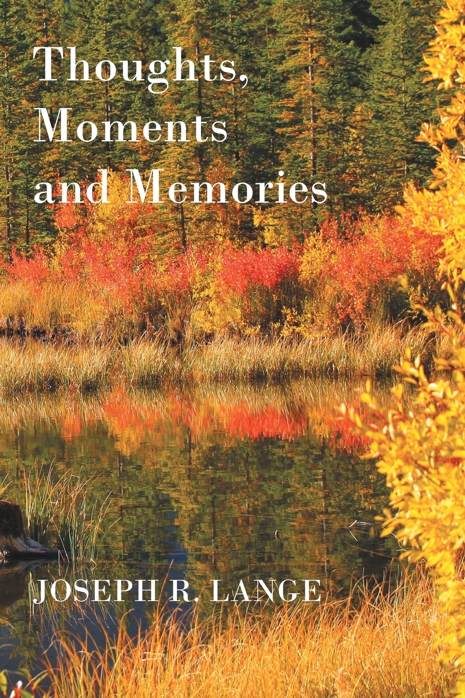 Thoughts, Moments and Memories