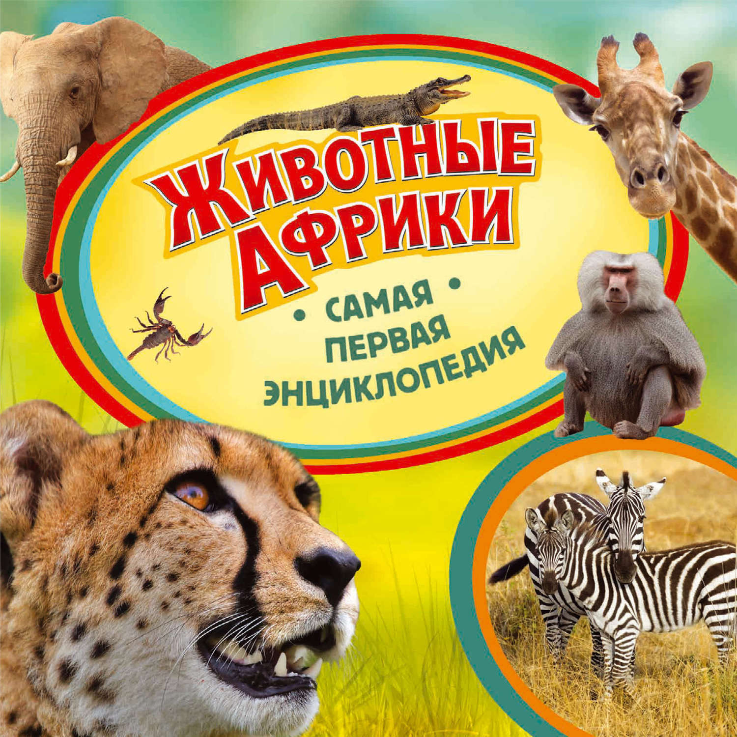 Книги о животных для детей картинки