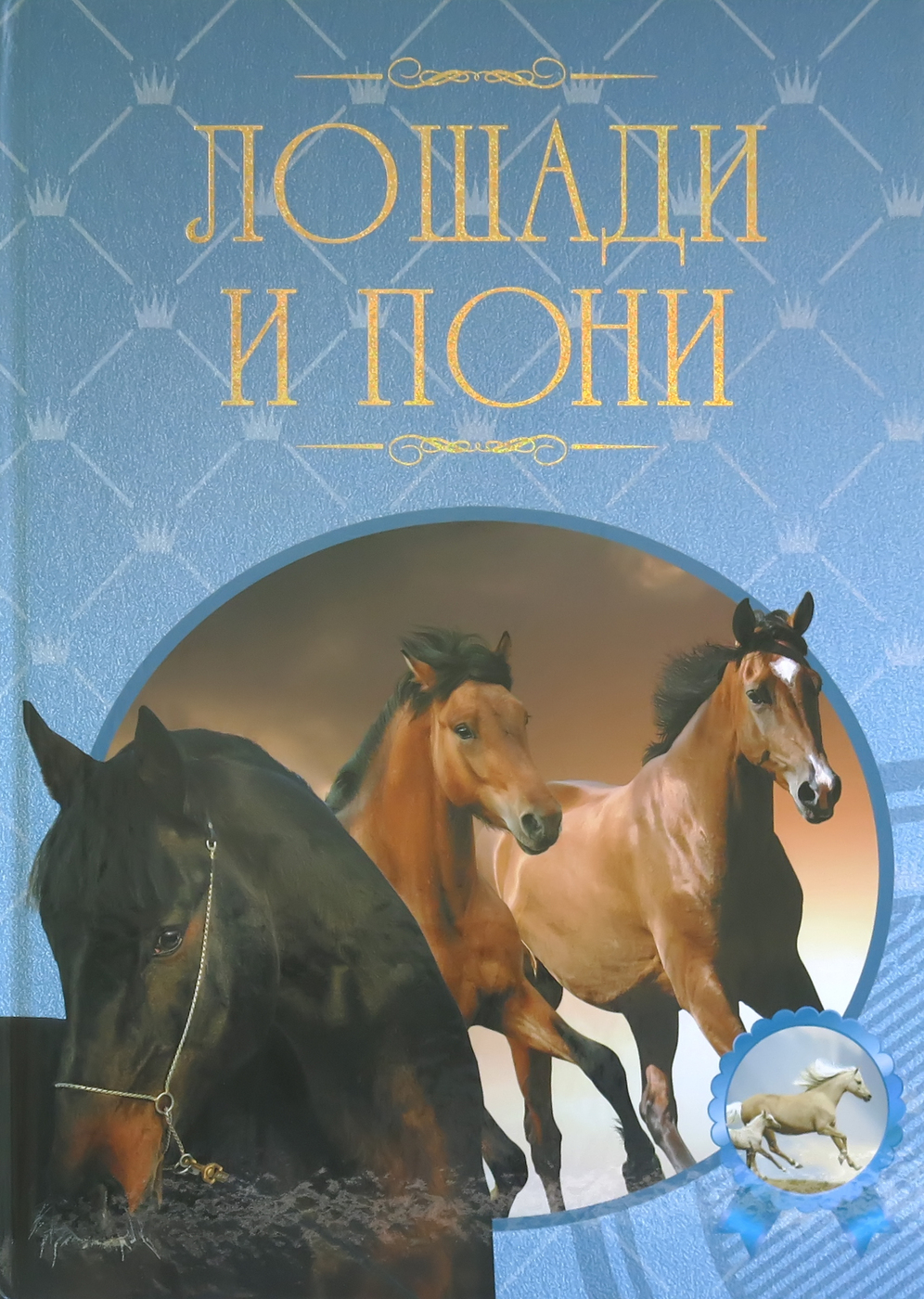 Лошади и пони: породы лошадей, уход. Иллюстрированная энциклопедия, книга о  лошадях | Жабцев Владимир Митрофанович