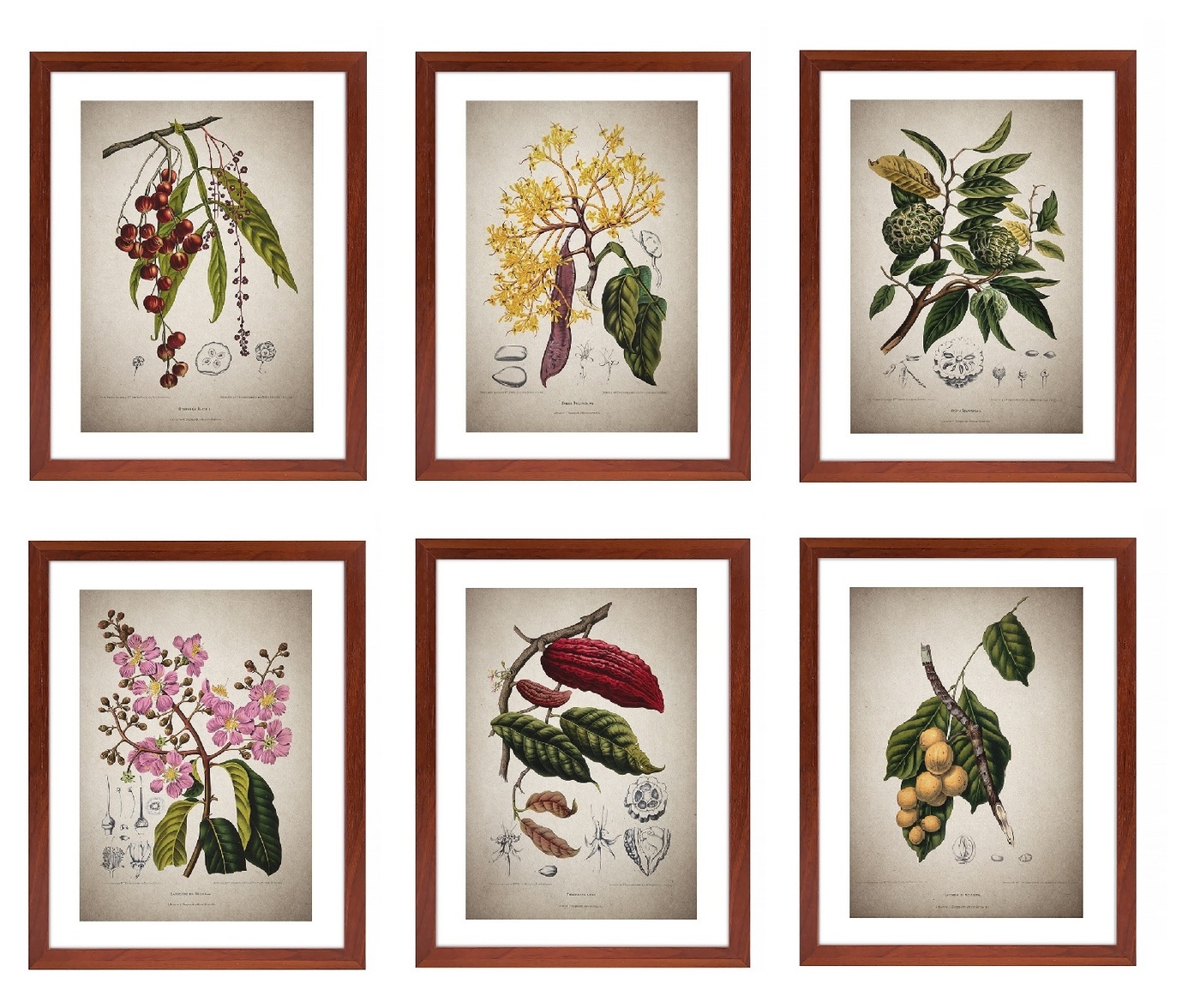 Озон картины в раме. Озон картины в раме. Озон картины в раме. Интерьерные картины. Современные картины для интерьера.