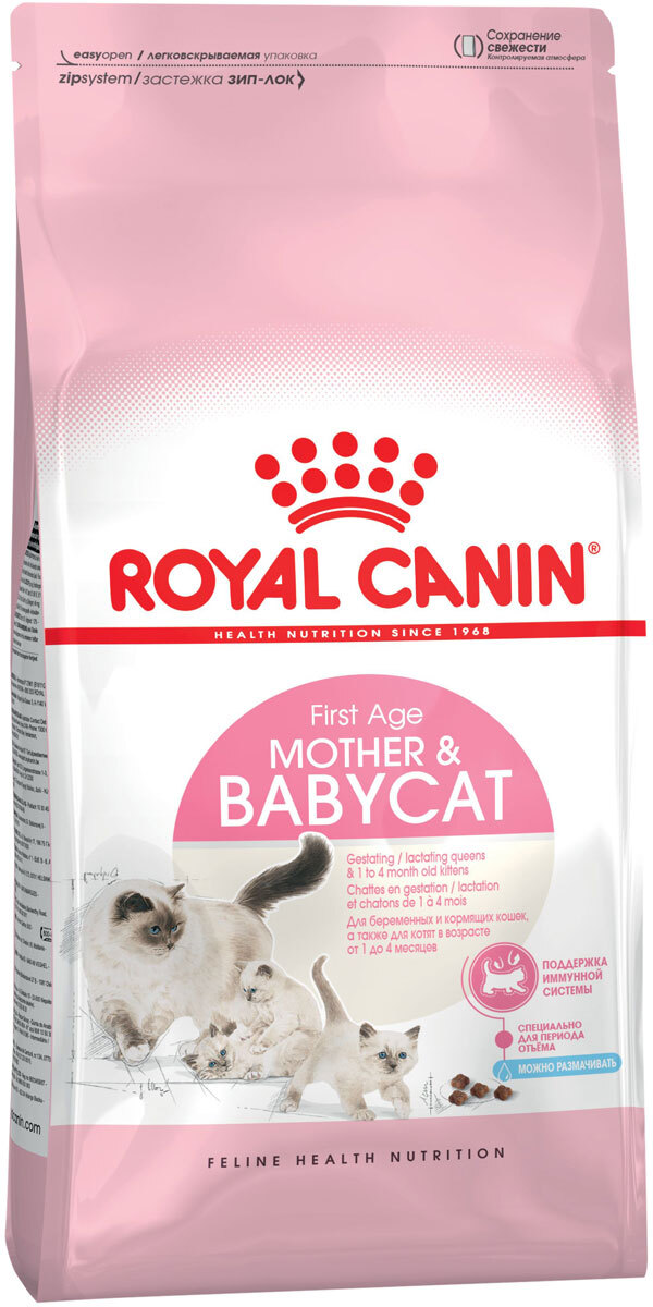 mother and babycat food