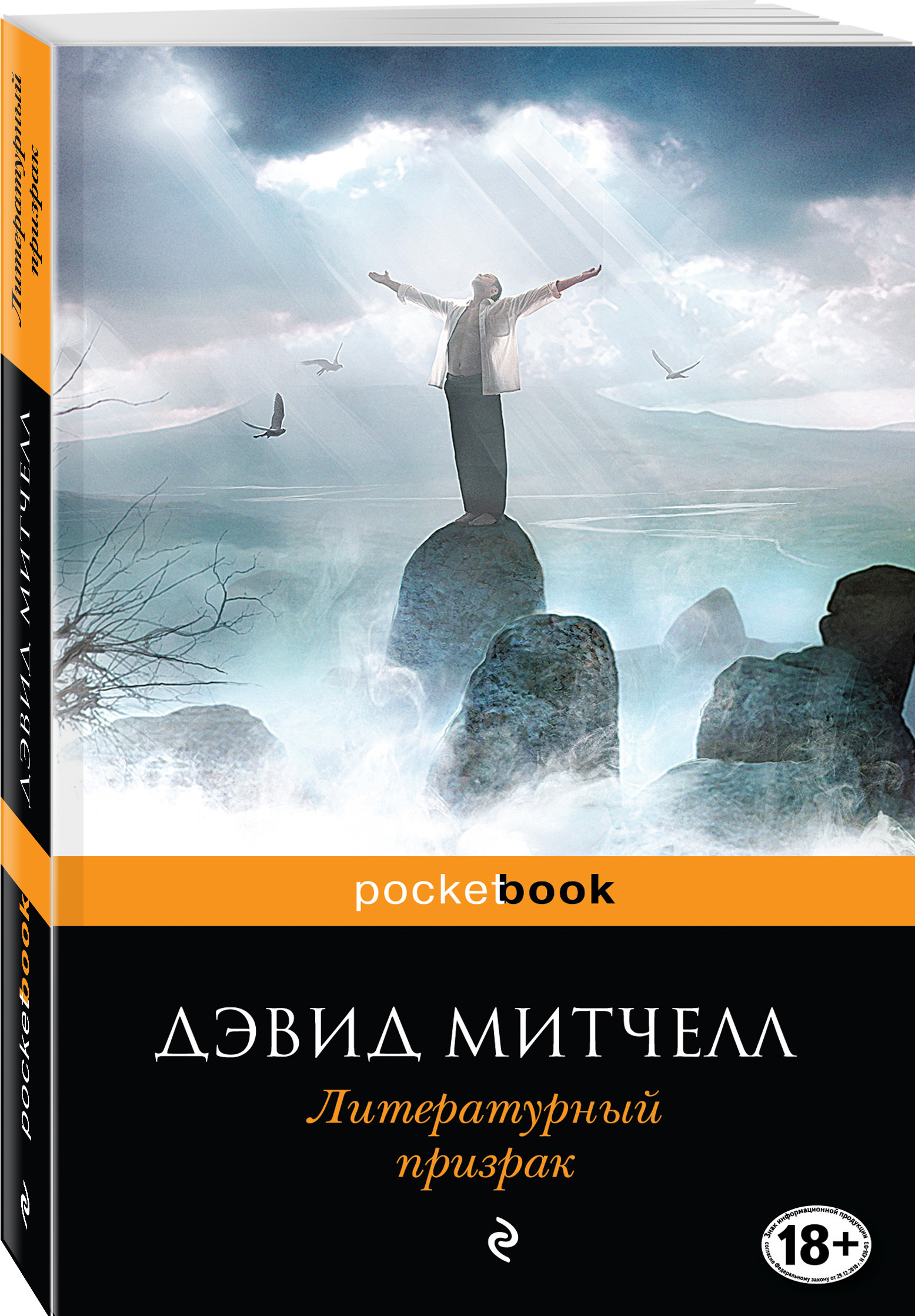 Книги дэвида. Литературный призрак Дэвид Митчелл. Тысяча осеней Якоба де Зута Дэвид Митчелл книга. Литературный призрак книга. Книга литературный призрак Дэвид.