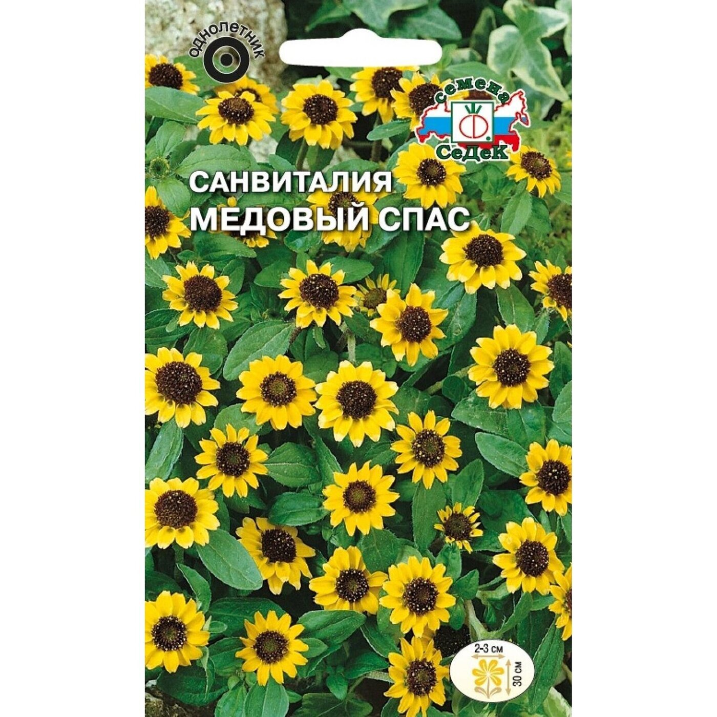 Семена Седек Купить В Спб