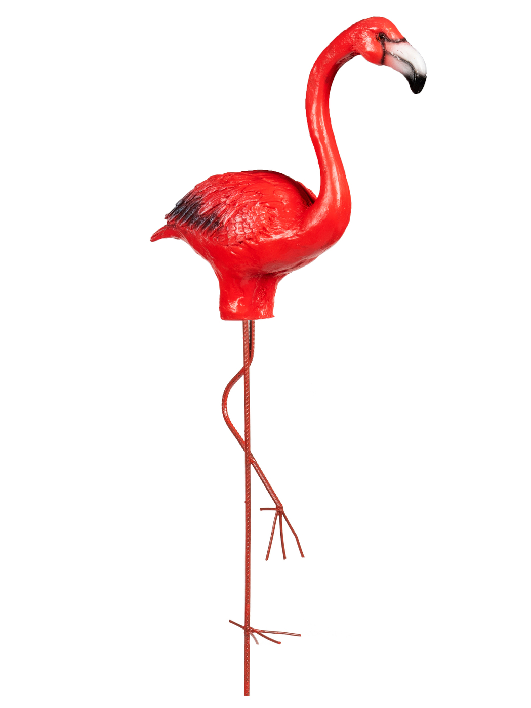 Астраханский заповедник птицы фламинго. Фламинго вишневый. Обыкновенный фламинго. Н фламинго. Алгарве розовый фламинго.