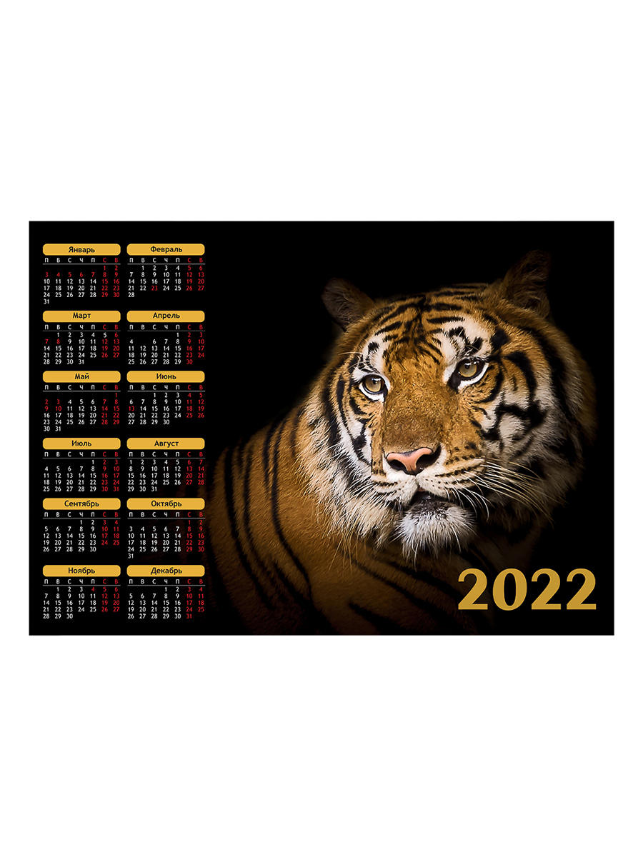 Календарь Woozzee Грустный тигр / календарь 2022 настенный / календарь ...