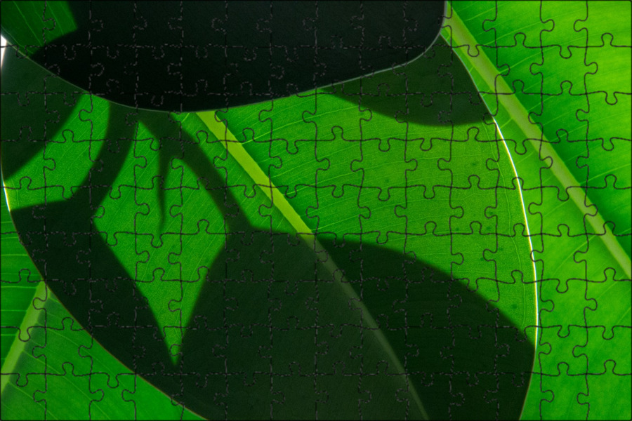 Green leaf отзывы. Вуд зеленый. Green листья j,JV 2r. Оне строк зеленый лист. Leaf Republic.