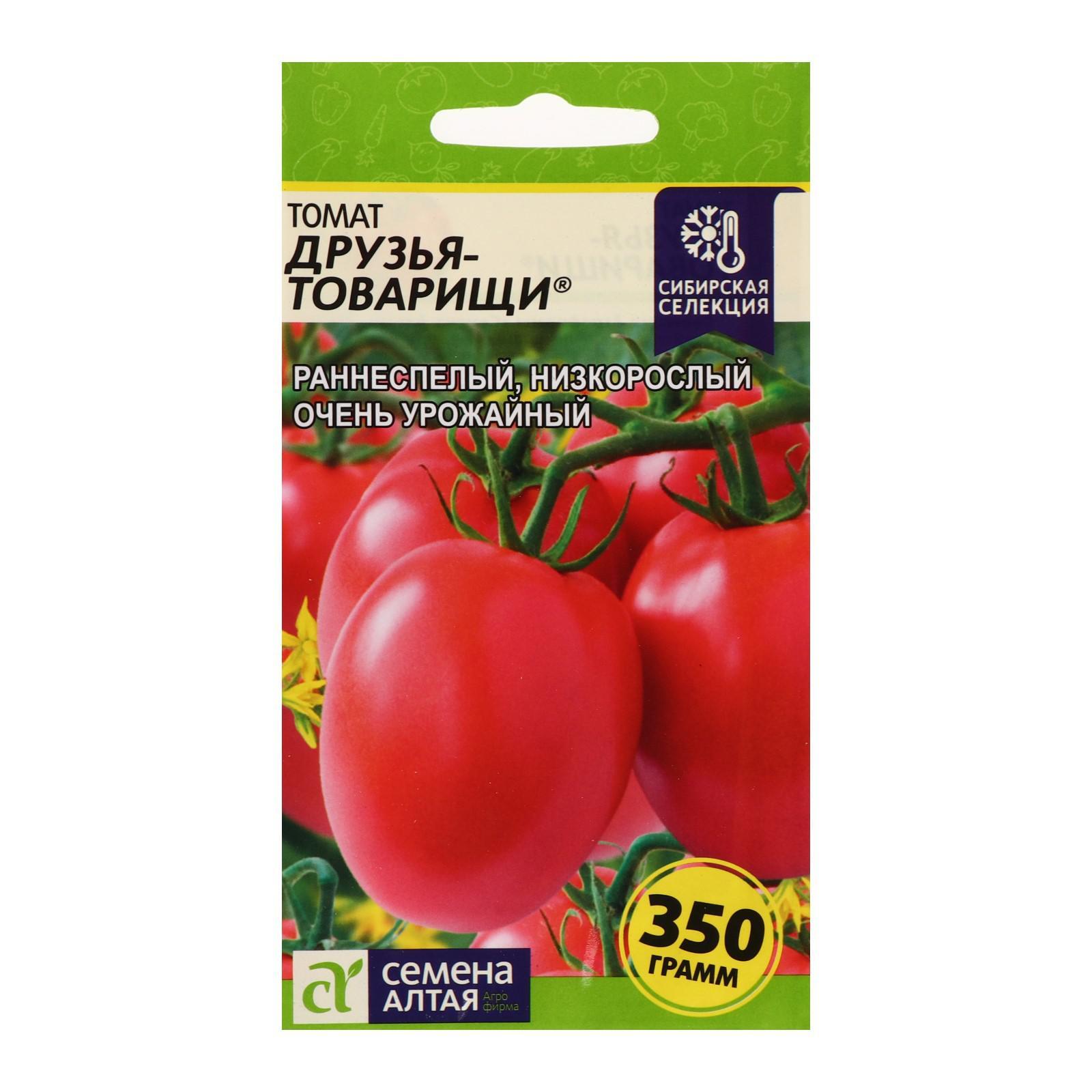 Семена Алтая томаты низкорослые