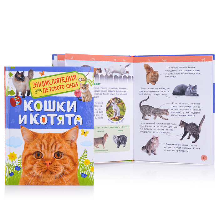 Энциклопедия кошек картинки