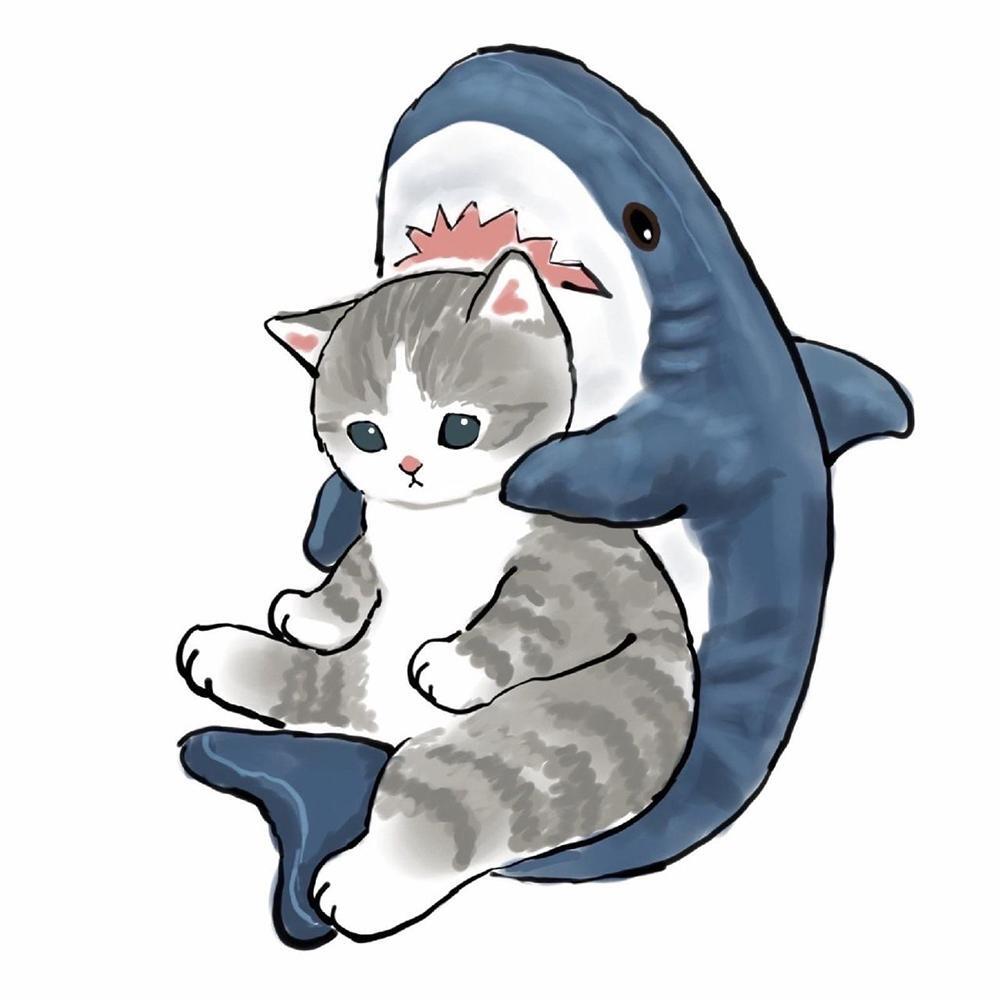 Котик акула рисунок